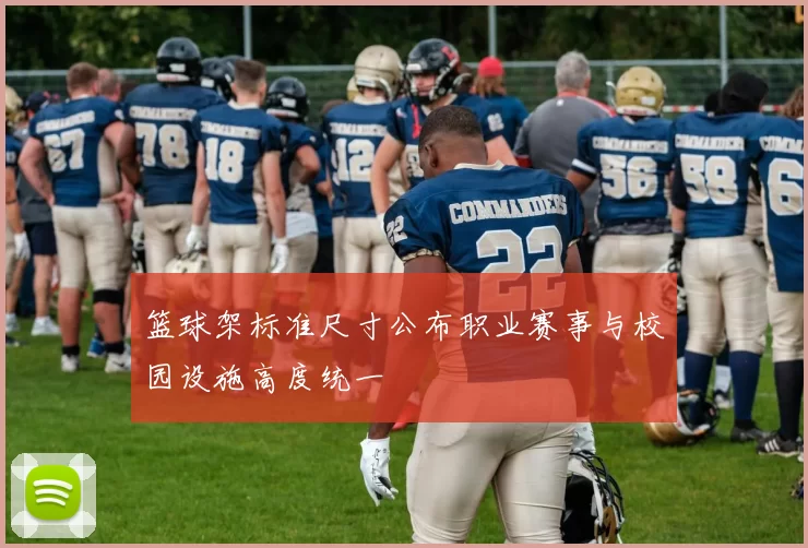 篮球架标准尺寸公布职业赛事与校园设施高度统一