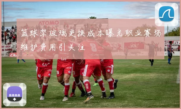 篮球架玻璃更换成本曝光职业赛场维护费用引关注