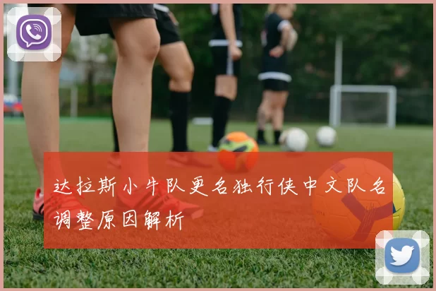 达拉斯小牛队更名独行侠中文队名调整原因解析