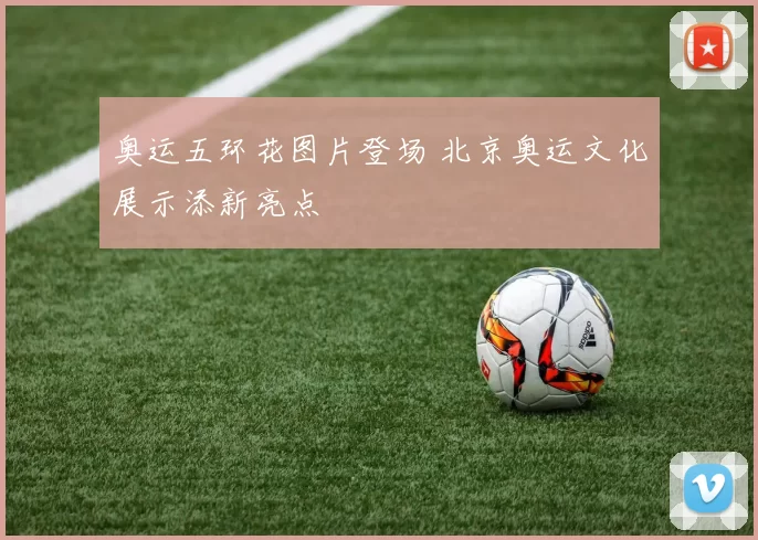 奥运五环花图片登场 北京奥运文化展示添新亮点