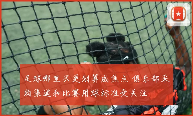 足球哪里买更划算成焦点 俱乐部采购渠道和比赛用球标准受关注