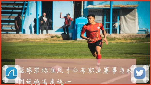 篮球架标准尺寸公布职业赛事与校园设施高度统一