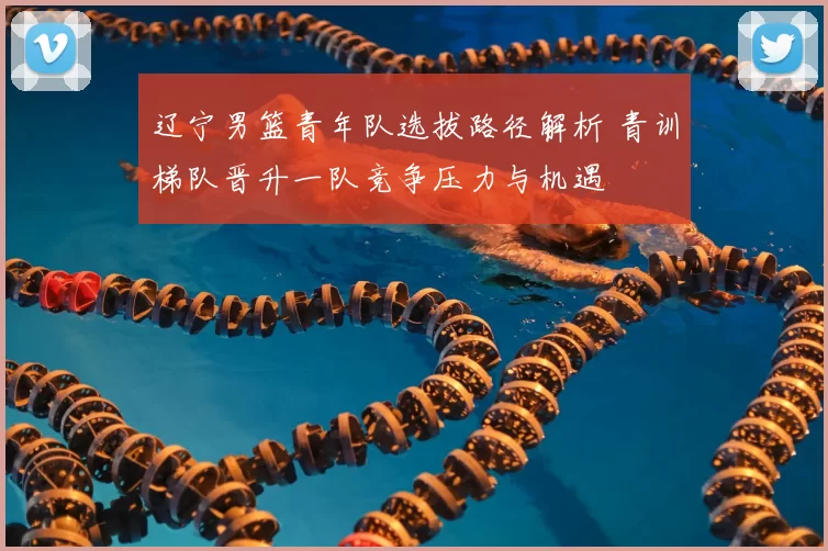 辽宁男篮青年队选拔路径解析 青训梯队晋升一队竞争压力与机遇