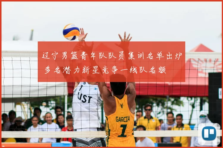 辽宁男篮青年队队员集训名单出炉 多名潜力新星竞争一线队名额