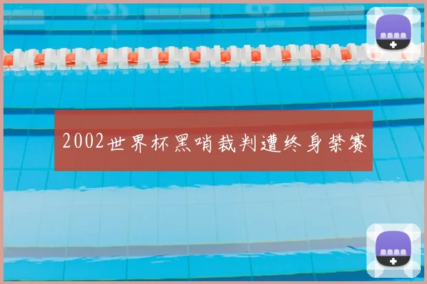 2002世界杯黑哨裁判遭终身禁赛