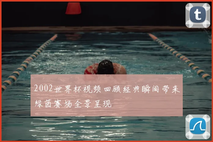 2002世界杯视频回顾经典瞬间带来绿茵赛场全景呈现