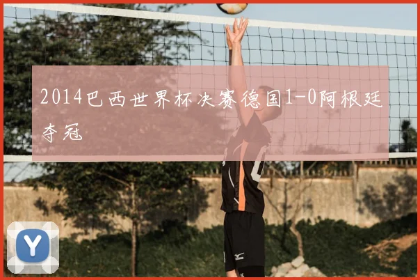 2014巴西世界杯决赛德国1-0阿根廷夺冠
