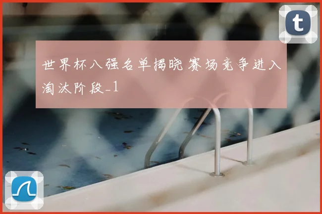 世界杯八强名单揭晓 赛场竞争进入淘汰阶段_1