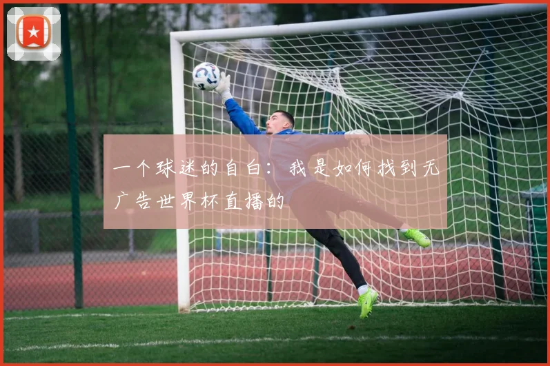 一个球迷的自白:我是如何找到无广告世界杯直播的