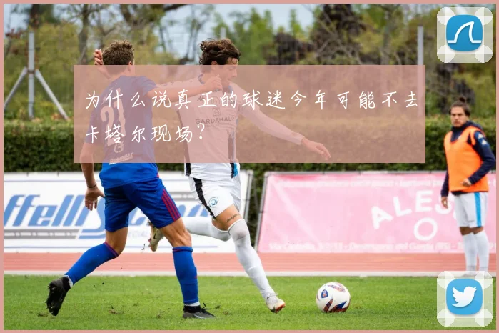 为什么说真正的球迷今年可能不去卡塔尔现场？