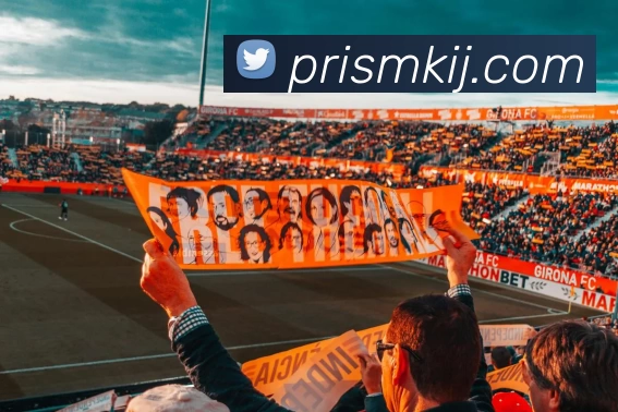 App Interface Preview